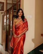 Rust Orange Dola Silk Animal Motif Saree