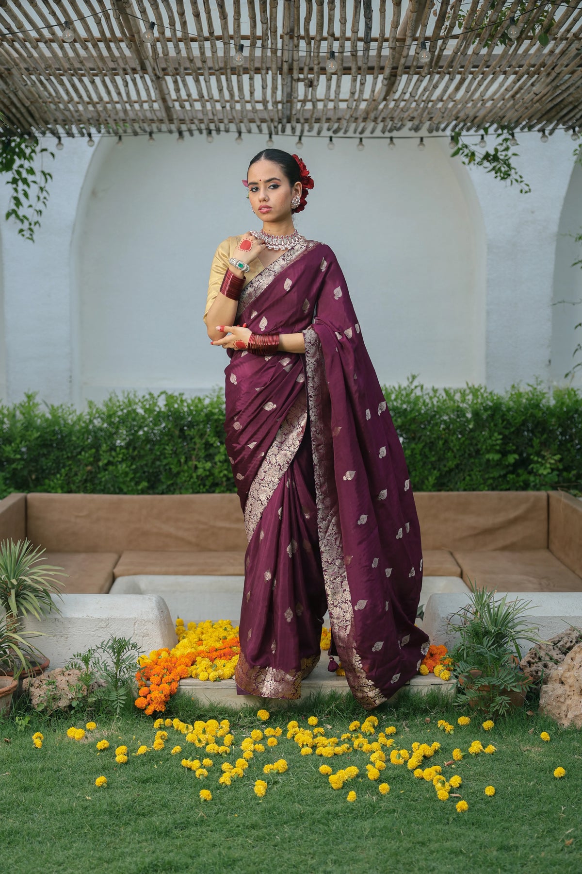 Wine Gold Zari Silk Saree