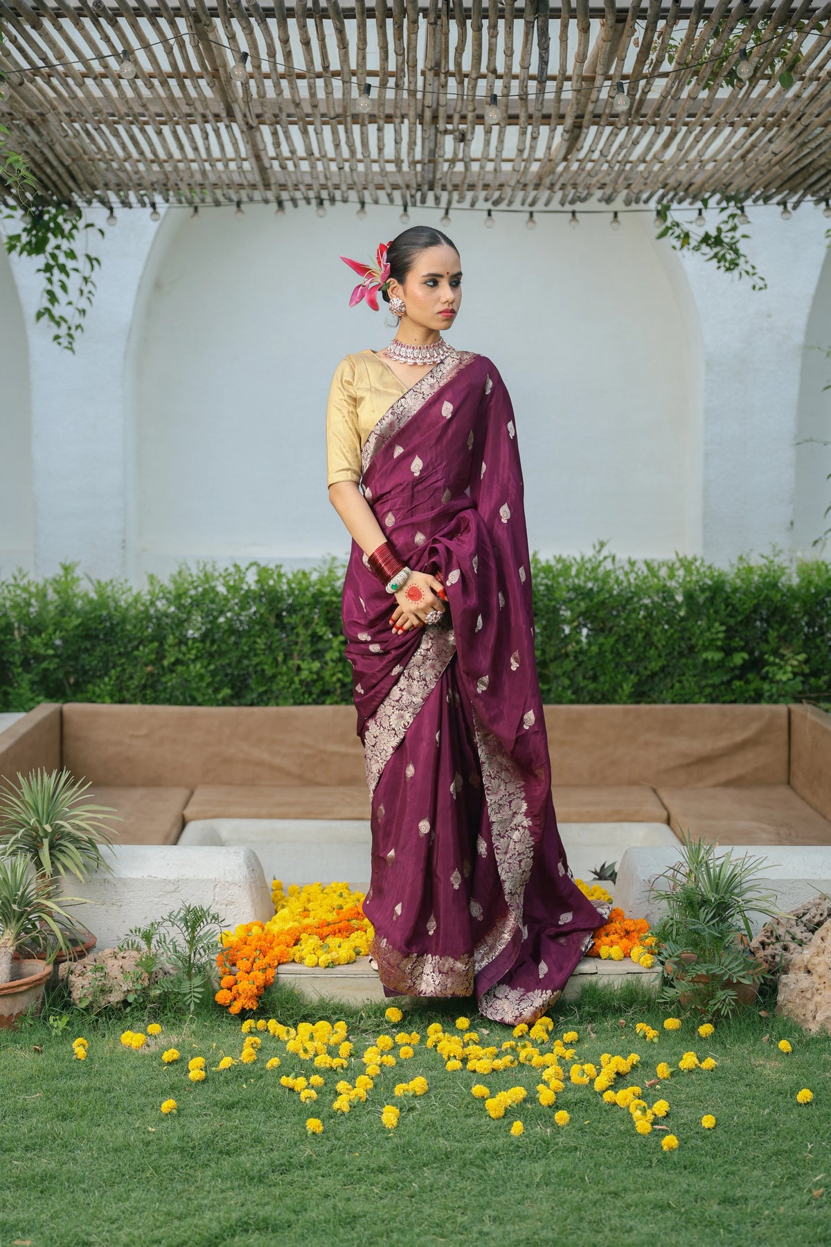 Wine Gold Zari Silk Saree